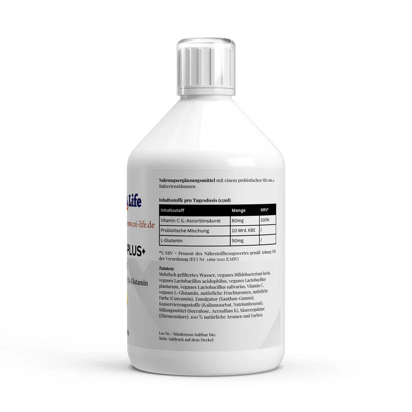 Basic Starter Set -- Multivitamin / D3 / Probiotik / Omega3 / Magnesium